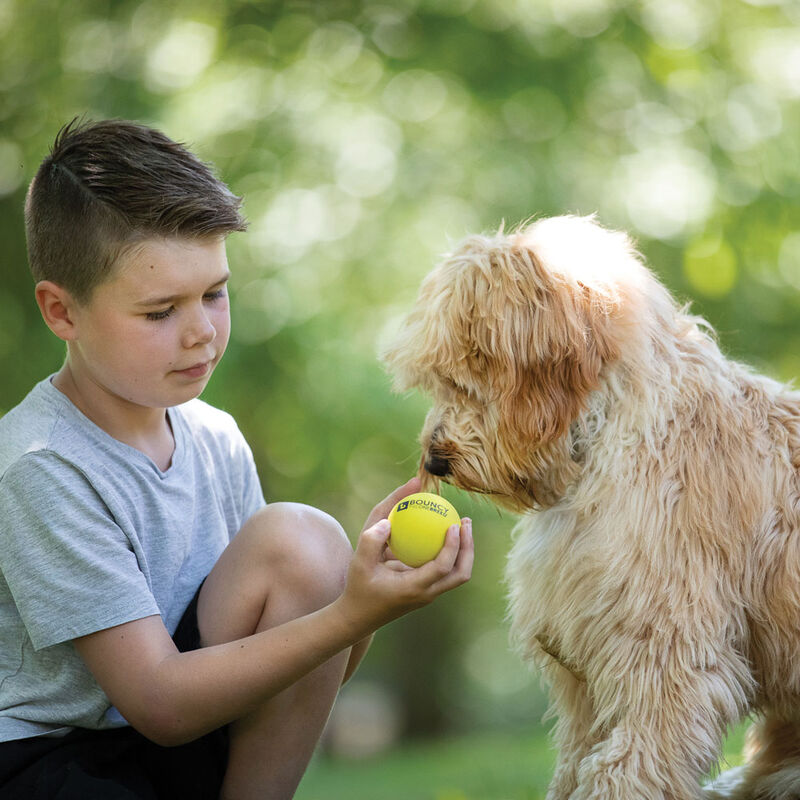 BeOneBreed, Bouncy Ball - Toss Dog Toy image number null