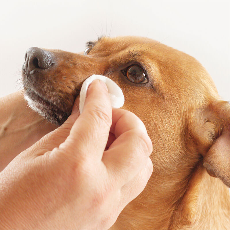 Pure and Natural Pet, Tear Stain Removing Under Eye Wipes - 50 ct image number null