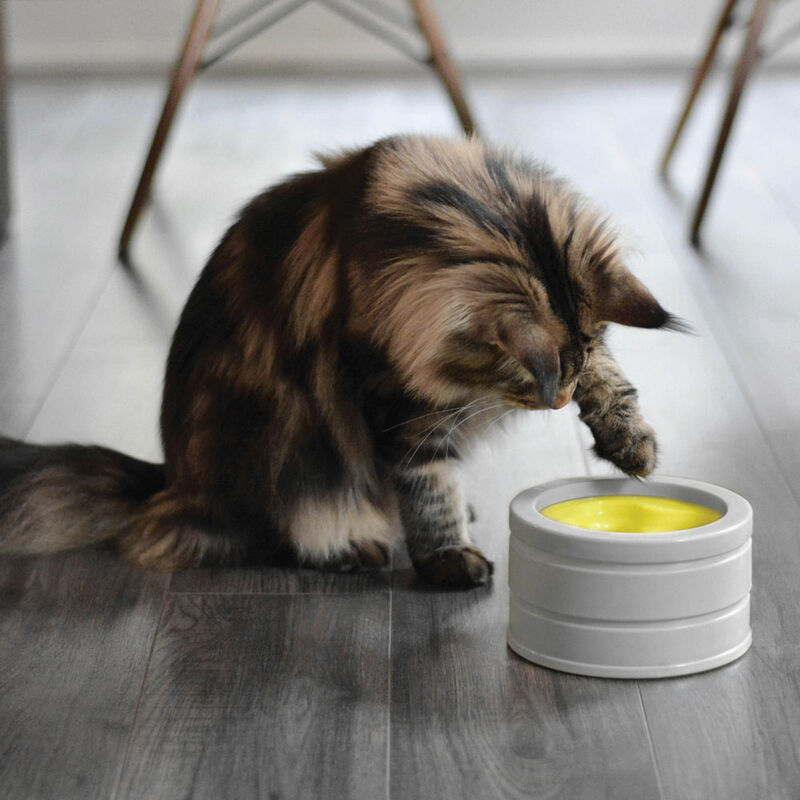 BeOneBreed, IntelliKatt - Interactive Cat Bowl - Cat Bowl image number null