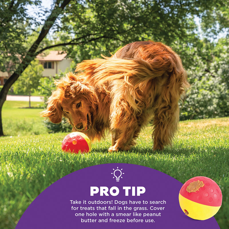 Outward Hound, Nina Ottosson, Treat Tumble - Pink - Large image number null