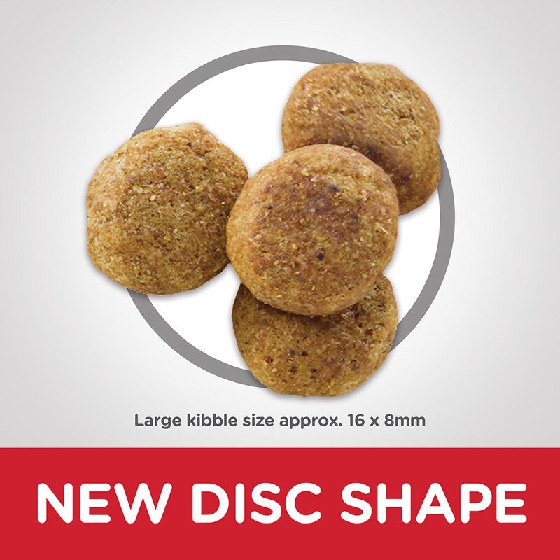 Science Diet, Adult Light Large Breed Chicken Meal & Barley Dry Dog Food for healthy weight - Dry Do image number null