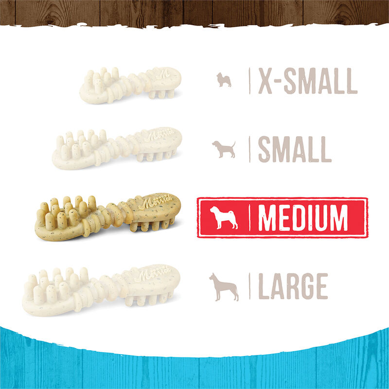 Merrick, Fresh Kisses Brush - Mint - Dog Treat image number null