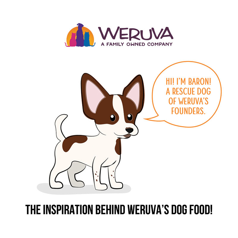 Weruva, Pouch, Adult - Goldie Lox - 80 g - Minced - Wet Dog Food image number null