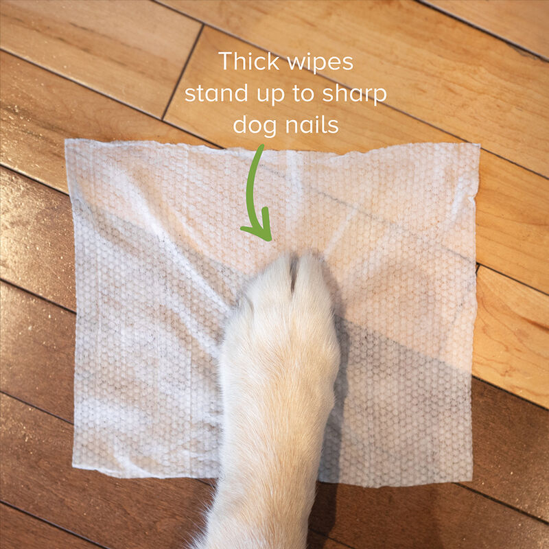 Earth Rated, Compostable Grooming Wipes - Unscented image number null