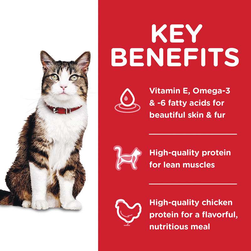 Science Diet, Adult Hairball Control Chicken Recipe Dry Cat Food - Dry Cat Food image number null
