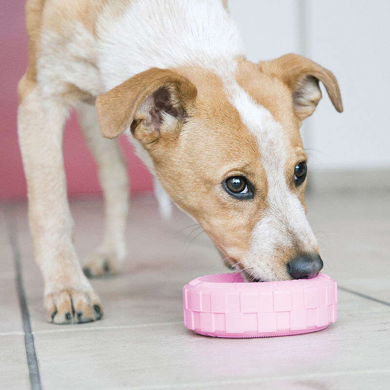 KONG, Puppy Tires - Interactive Dog Toy image number null
