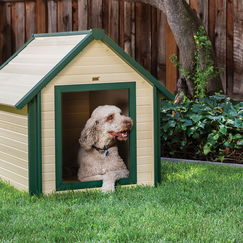 New Age Pet, Bunkhouse Dog House - XLarge - Maple image number null
