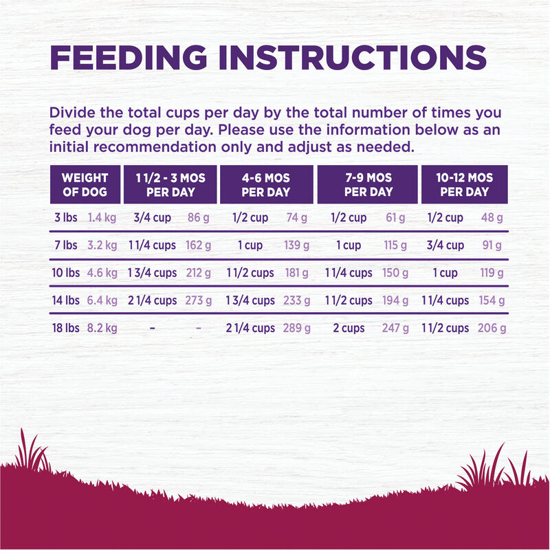 Wellness, Complete Health Small Breed, Puppy Turkey, Oatmeal & Salmon - 4 lb - Dry Dog Food image number null