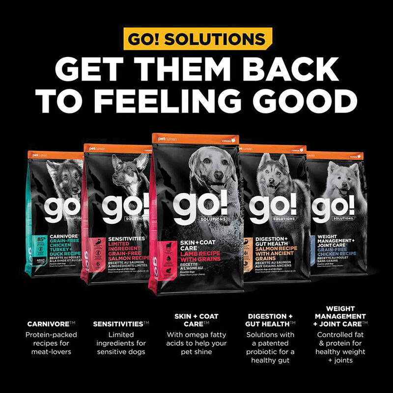 GO! SOLUTIONS SKIN + COAT CARE Lamb Recipe for dogs image number null