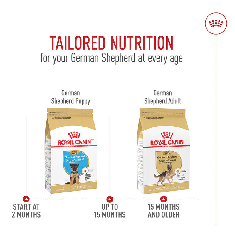 Royal Canin, Breed Health Nutrition German Shepherd Adult - Dry Dog Food image number null