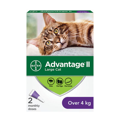 Advantage II, Feline Adult - 4 kg+