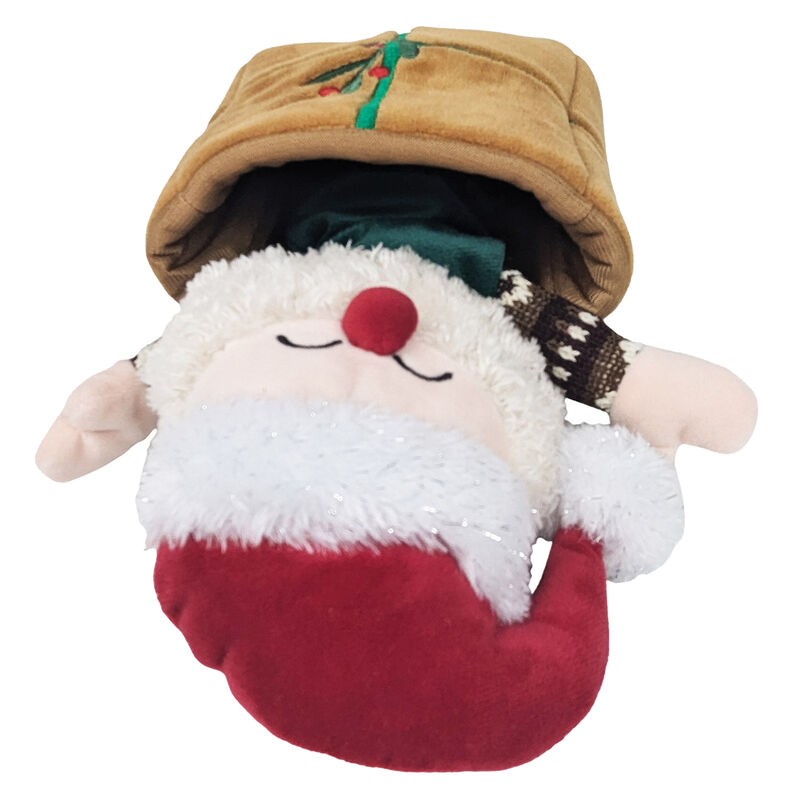 Zoom Pets, Surprise Santa Clause image number null