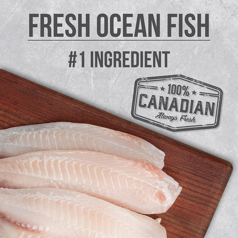 Nutrience, Adult Feline - Infusion - Fish - Dry Cat Food image number null