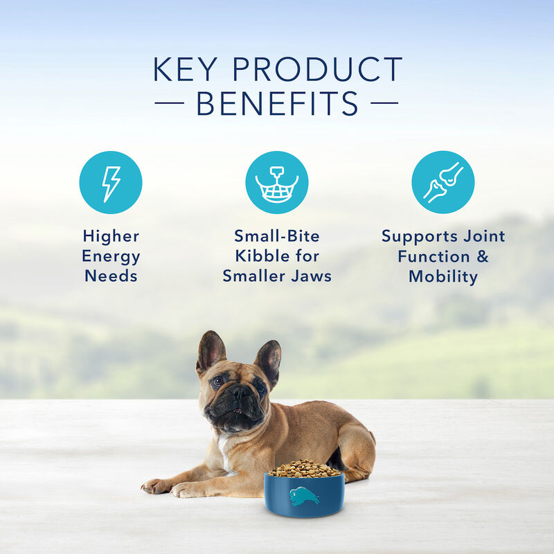 Blue Buffalo, Adult - LP - SB - Lamb - Dry Dog Food image number null