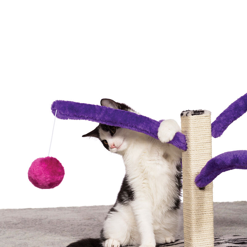 Prevue, Bounce and Spring Cat Post image number null