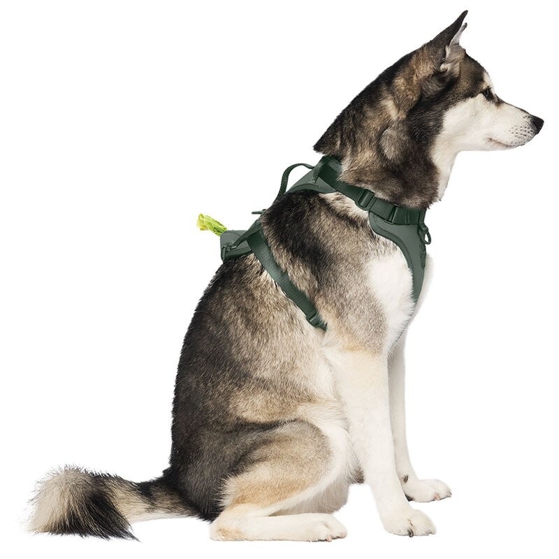Canada Pooch, Neoprene Harness - Forest Green Neoprene image number null
