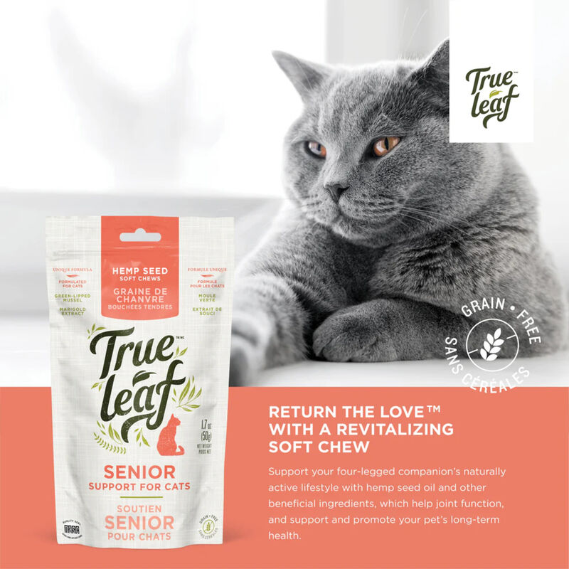 True Leaf, Senior Cat Support Chews image number null