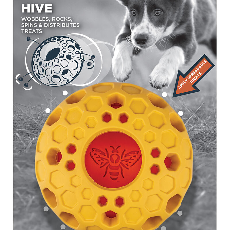 Tall Tails, Natural Rubber Hive Toy - 4" - Interactive Dog Toy image number null