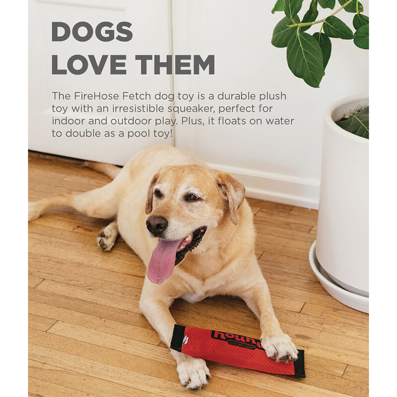 Firehose Squeak 'N Fetch - Red - Medium image number null