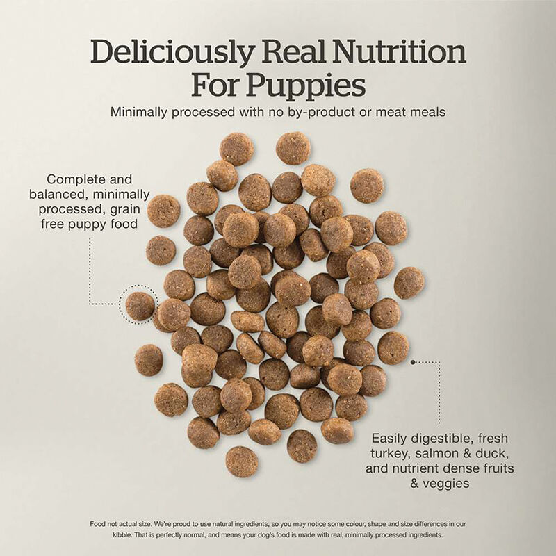 NOW FRESH, Puppy GF - Dry Dog Food image number null