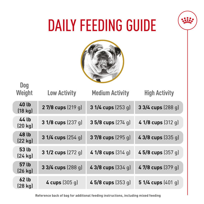 Royal Canin, Breed Health Nutrition Bulldog Adult - Dry Dog Food image number null