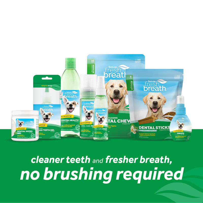 Tropiclean, Puppy, Dental Fresh Breath - Plaque & Tartar - 16 oz image number null