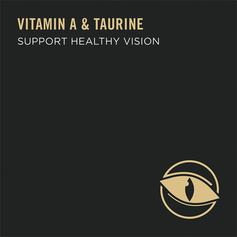 Pro Plan, FelineAdult-SpecIndoorHairball-Turkey&Rice - Dry Cat Food image number null