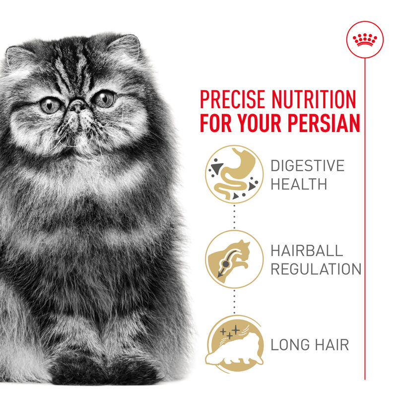 Royal Canin, Feline Breed Nutrition Persian Adult Dry Cat Food - Dry Cat Food image number null