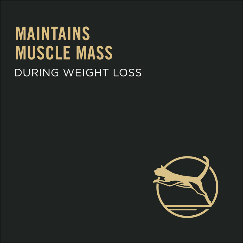 Purina Pro Plan Weight Management Adult, Chicken & Rice Dry Cat Food image number null