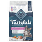 Blue Buffalo Tastefuls Sensitive Stomach Natural Adult Dry Cat Food, Chicken & Brown Rice image number null