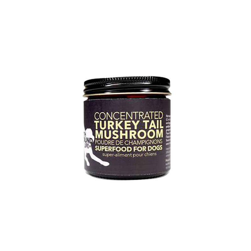North Hound Life, Organic Turkey Tail Mushroom - 70 ml image number null