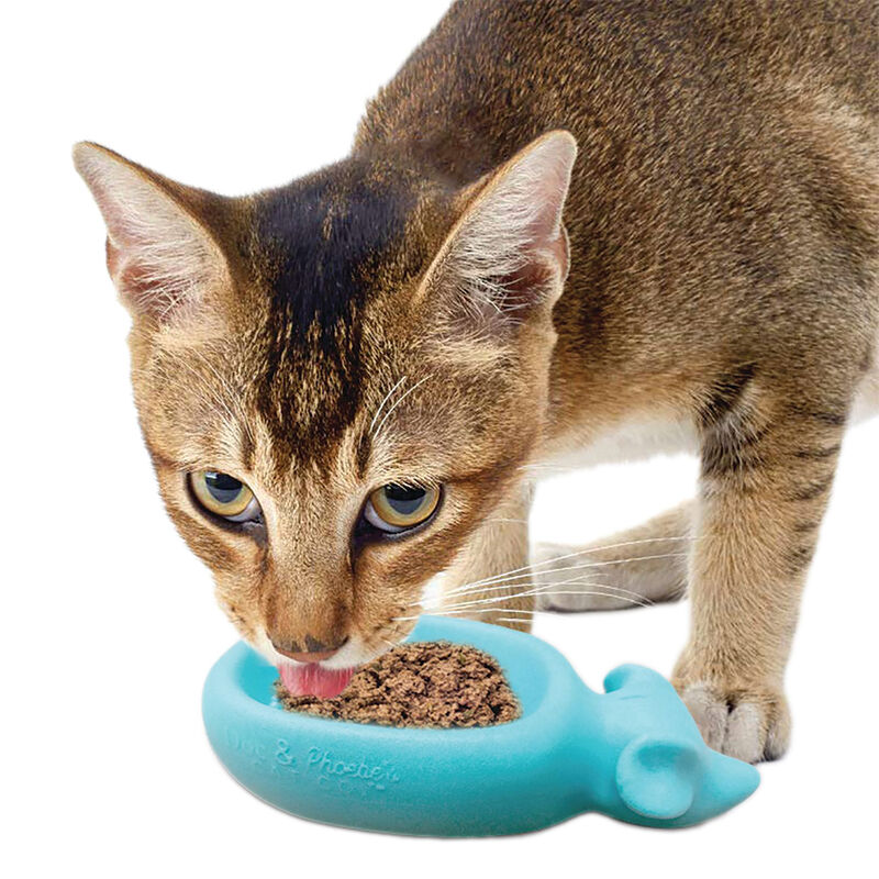 Doc & Phoebe's, The Raw & Wet Food Feeder image number null