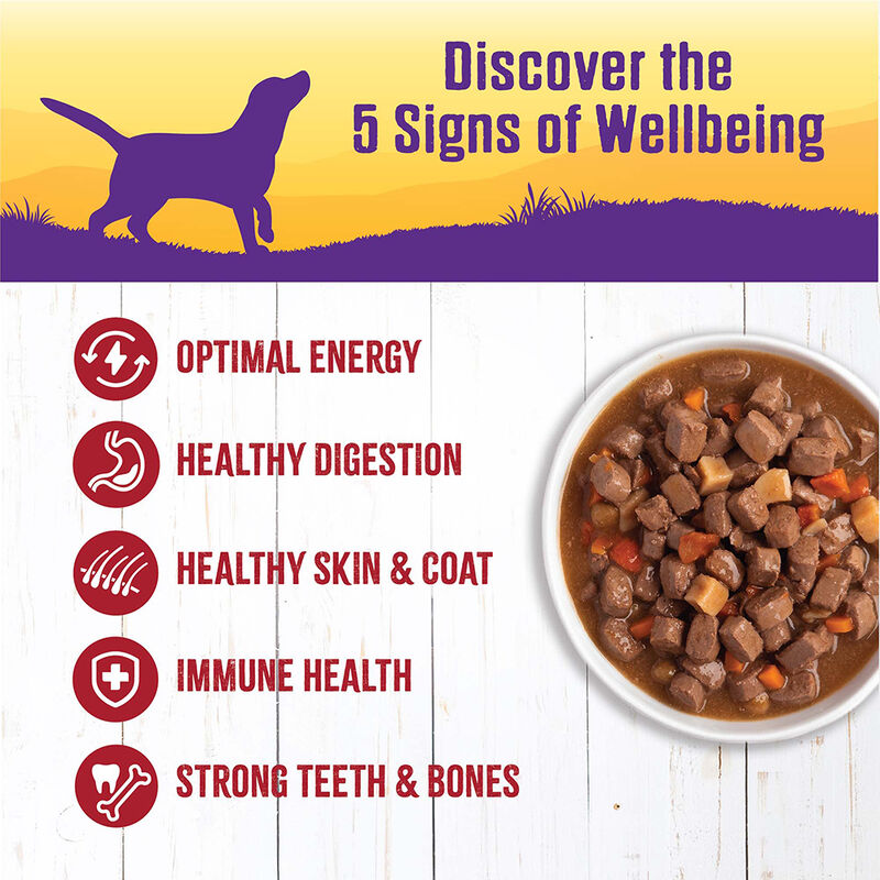 Wellness, Canned Dog Food, Chunks & Gravy, Beef Stew with Carrots & Potatoes - 12.5 oz - Wet Dog Foo image number null