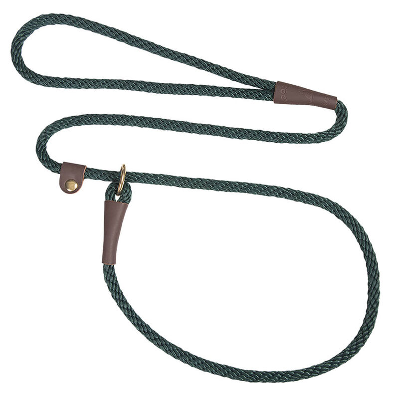 Mendota, Small Slip Lead - Hunter Green - 3/8" Width image number null
