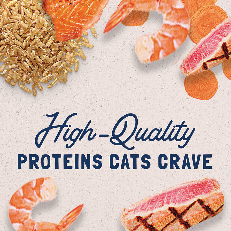 Can, Feline Adult - Ultra - Salmon - 156 g - Wet Cat Food image number null