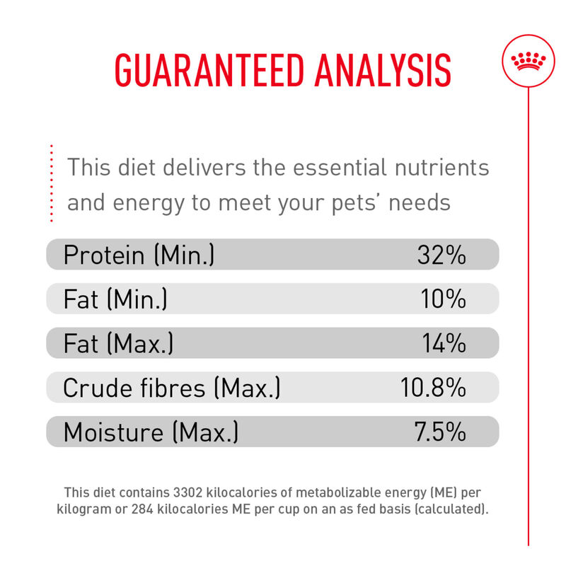Royal Canin, Feline Care Nutrition Appetite Control - Adult - Dry Cat Food image number null