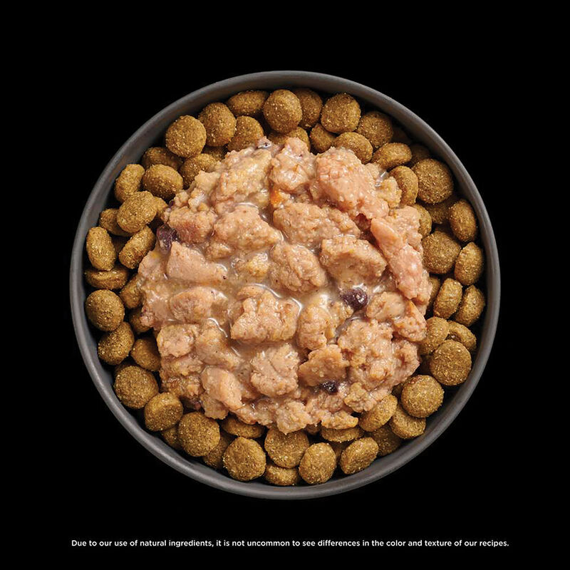 GO! SOLUTIONS,  BOOSTER Immune Health Minced Chicken with gravy - 78 g - Wet Dog Food image number null