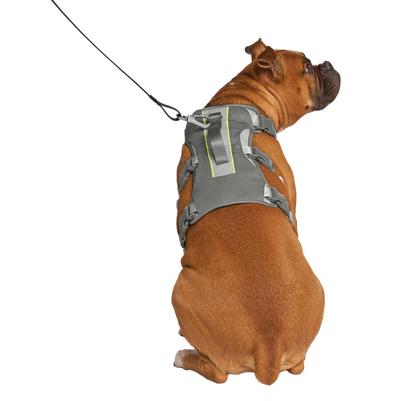 Canada Pooch, Max Chill Cooling Harness Grey image number null