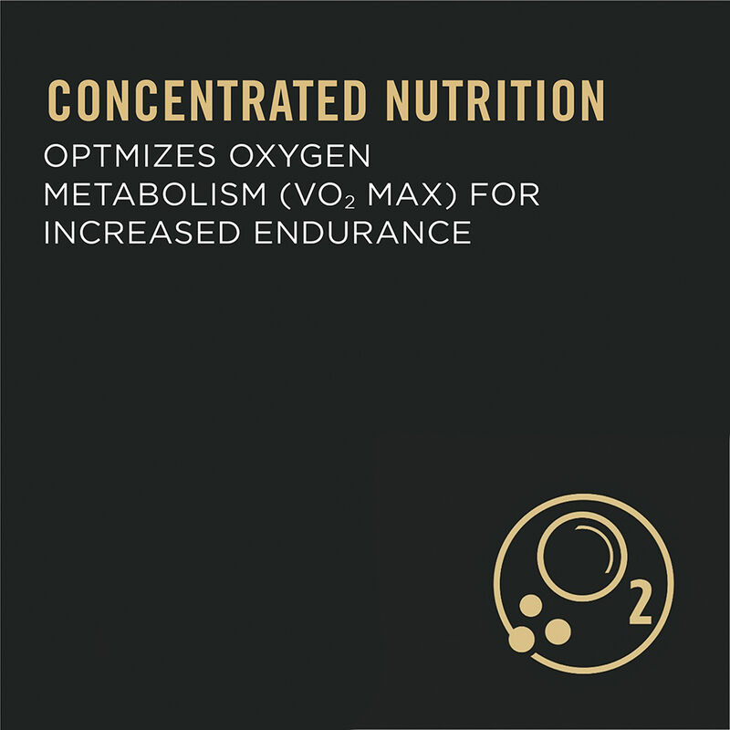 Pro Plan, Sport Performance 30/20 Formula Dry Dog Food 17 kg - Dry Dog Food image number null