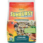 Higgins, Sunburst - Conure - 1.36 kg image number null