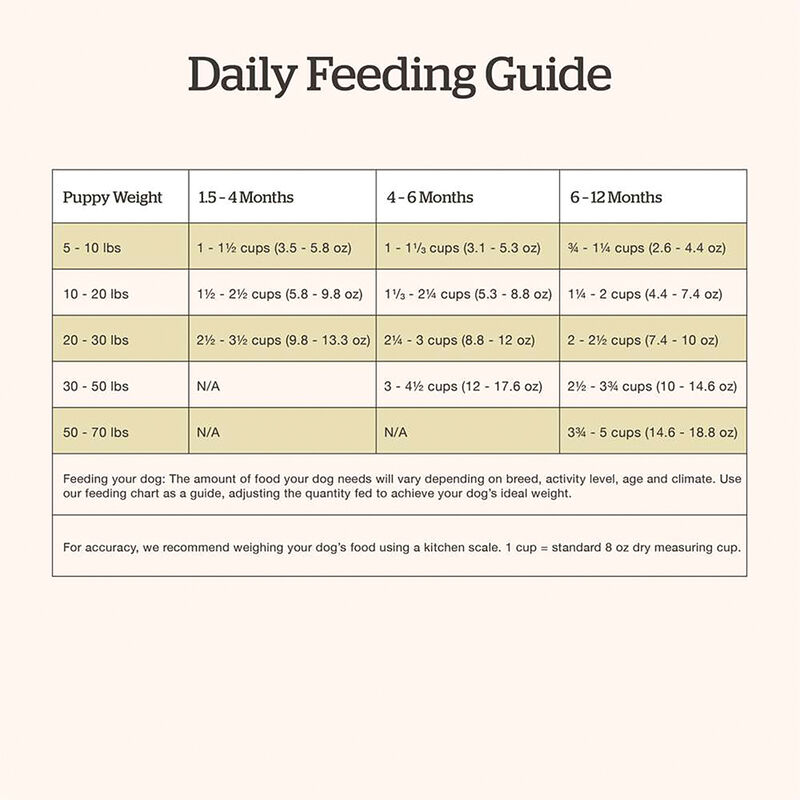 NOW FRESH, Puppy GF - Dry Dog Food image number null