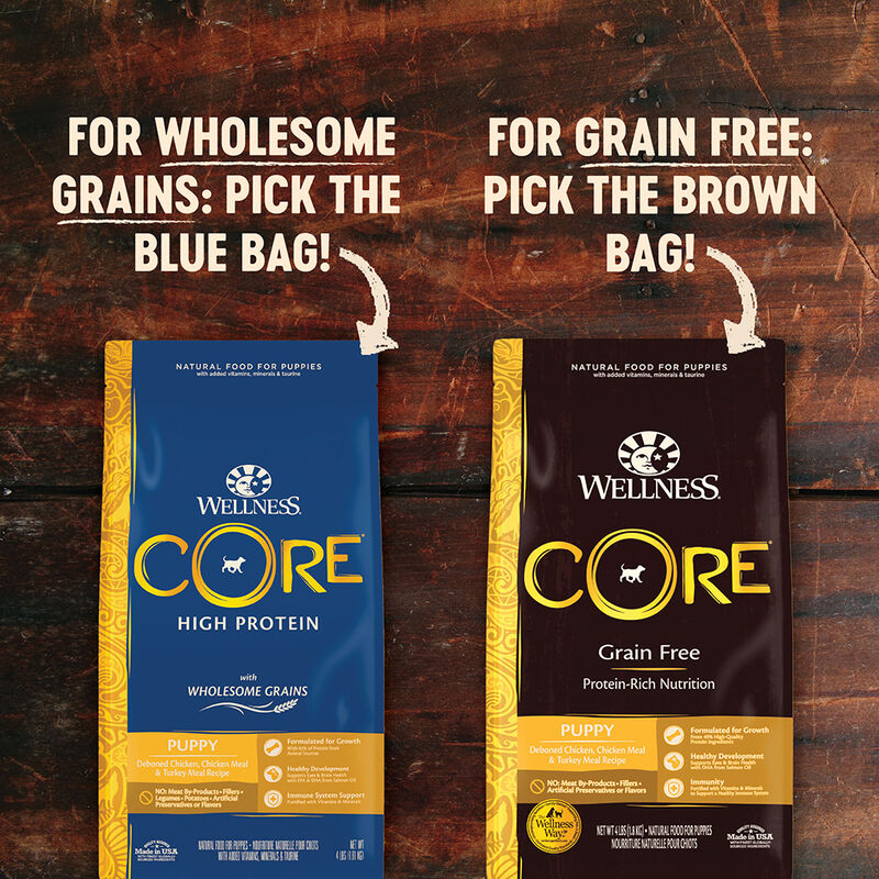Wellness, Core, Grain Free Puppy - Dry Dog Food image number null