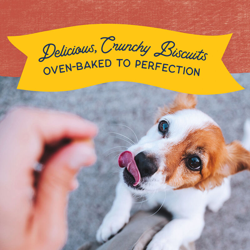 Natural Balance, Limited Ingredient Dog Treats Small Breed, Sweet Potato & Fish - Dog Biscuit image number null