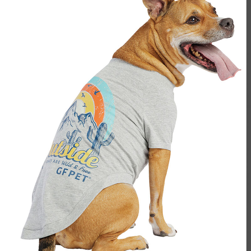 GF Pet, Graphic Tee Heather Grey image number null
