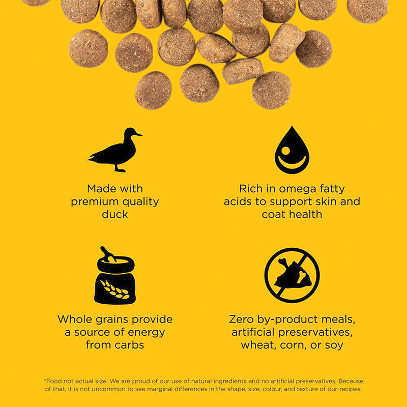GO! SOLUTIONS, SKIN + COAT CARE Duck Recipe with Grains for dogs - Dry Dog Food image number null
