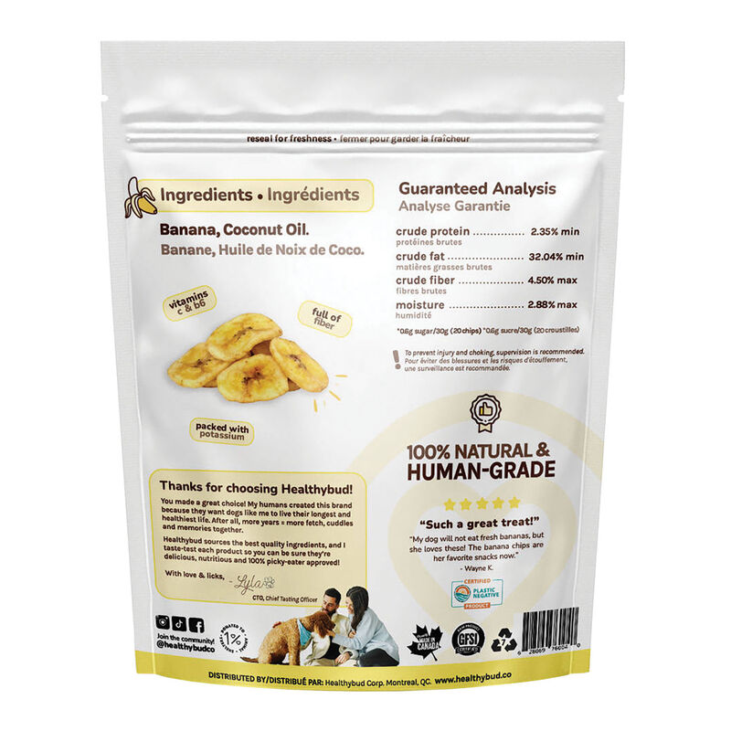 Healthybud, Vegan Banana Chips - Natural Dog Treat image number null