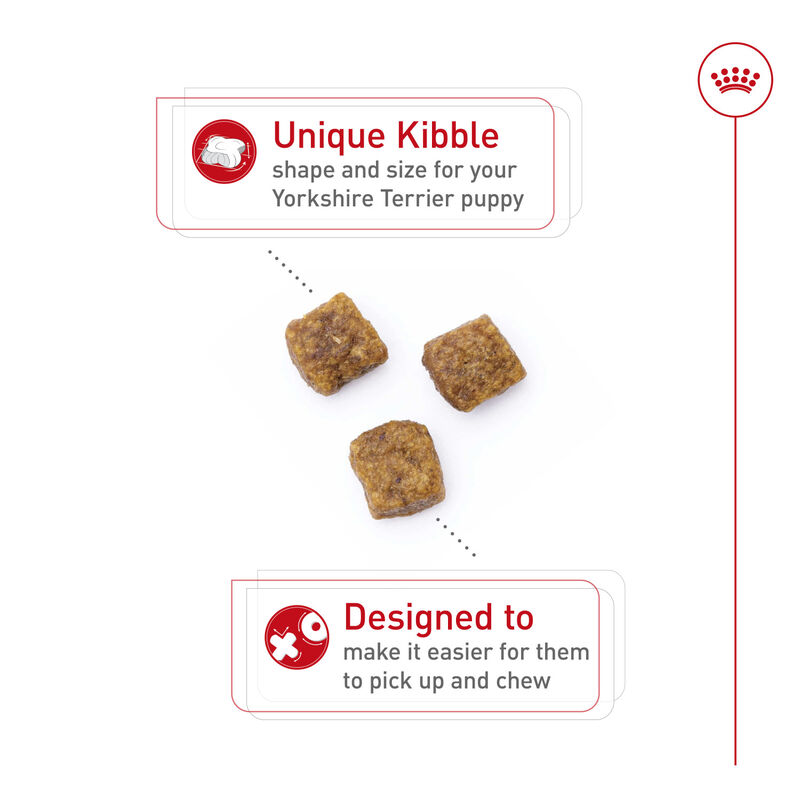 Royal Canin, Breed Health Nutrition Yorkshire Terrier Puppy - Dry Dog Food image number null