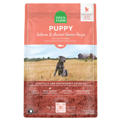 Puppy Salmon & Ancient Grains Recipe - 9.98 kg - Dry Dog Food