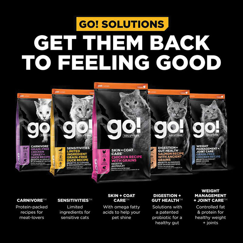 GO! SOLUTIONS SKIN + COAT CARE Chicken Recipe for cats image number null
