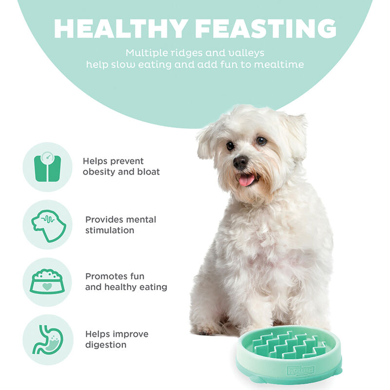 Outward Hound, Fun Feeder Wave - Mint - X-Small image number null